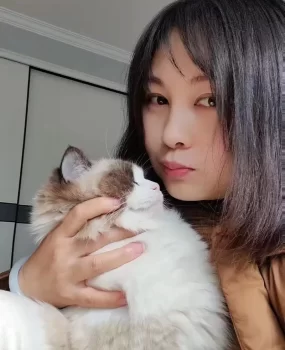 燕子，小燕子